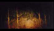 109 Forest scrim thumb
